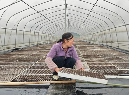 QQ图片20260327155638