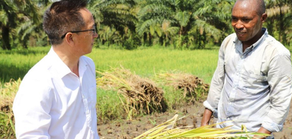 中国专家助力布隆迪水稻增产