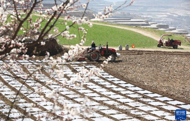 黄土高原上农耕忙