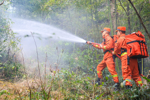 浙江：多措并举 筑牢森林“防火墙”（6）(9886155)-20260403091934