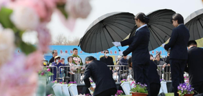 天津：节地生态安葬倡新风