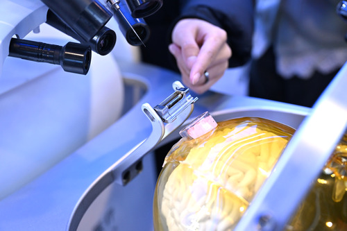 图为工作人员向观众介绍高通量侵入式脑机接(9890625)-20260403105224