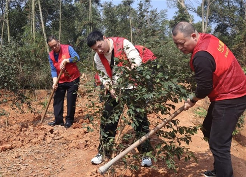 ScreenShot_2026-04-03_161407_308