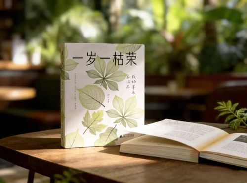 GetAttachment (1)