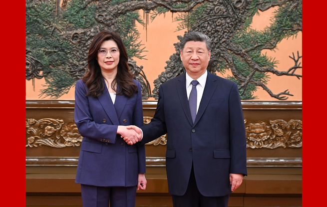 习近平总书记会见中国国民党主席郑丽文