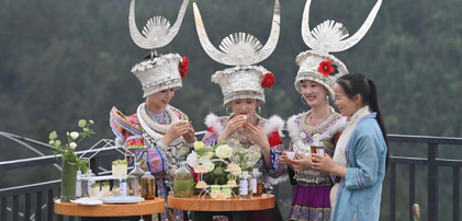 踏青品茶大苗山