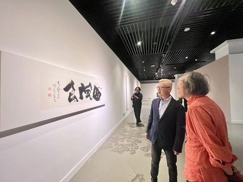 图片8