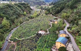 产业旺乡村靓——巴渝和美乡村建设见闻