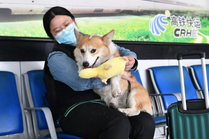 “爱宠行”便利宠物出行