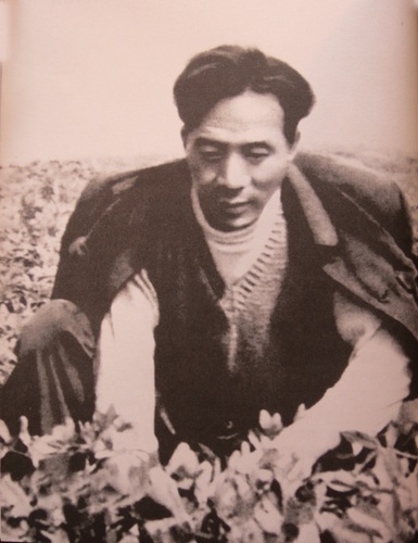 焦裕禄在花生地拔草（刘俊生 摄）(9964193)-20260420092906