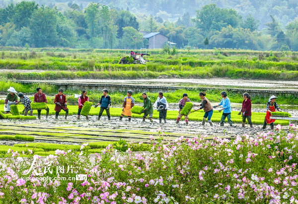 MAIN1776735101429LPOUDS62D6