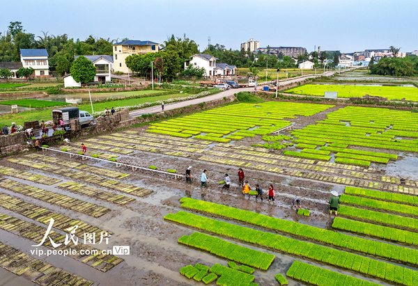 MAIN17767351014916MY13YDHSF