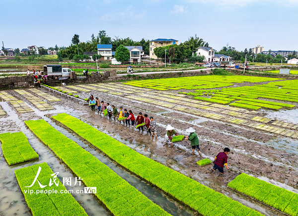 MAIN1776735101395ZORMEZNU4D