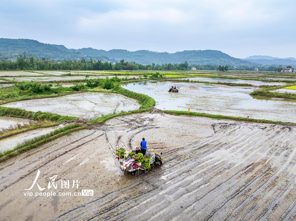 MAIN1776735101463JCFKIRHOLO