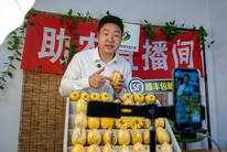 甘肃民勤：“沙乡”果业兴