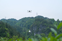 春茶“坐”上无人机