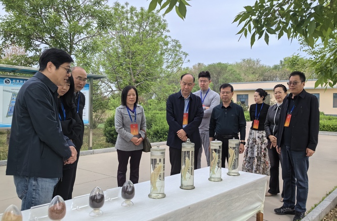 提升海洋渔业经济发展竞争力