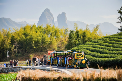 202604288d32a419c7334308b7aa2c102107f1e5_80615bd023b349bba7e74cf715c22857