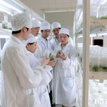 三十余载守护三峡珍稀植物