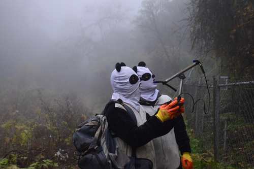 (美丽中国行)逐野向山林(分离图)1-工(10319144)-20260608162427