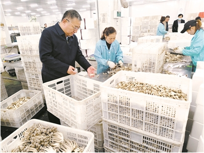 捕获 捕获