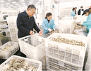 深耕田间赋新能 优产兴链助振兴