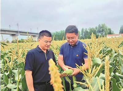 吴伟 吴伟