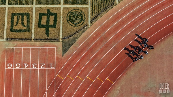 6 6