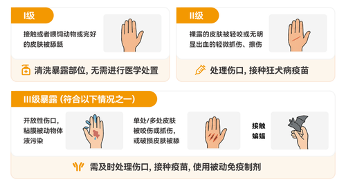 图片2 图片2