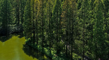 image6