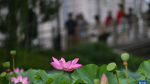 image4