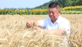叩开乡村振兴“幸福门”