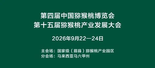 图片9