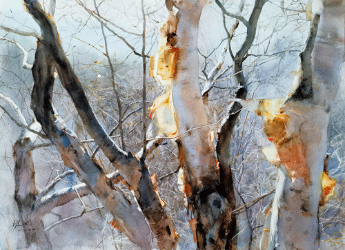 p1-120-89