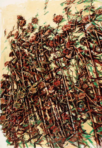 p1-120-60