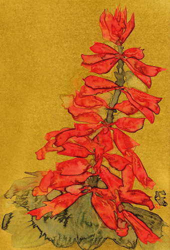 p1-120-32