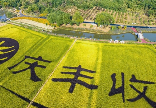 10月20日国是乡村振兴(11251788)-20261021172107 10月20日国是乡村振兴(11251788)-20261021172107