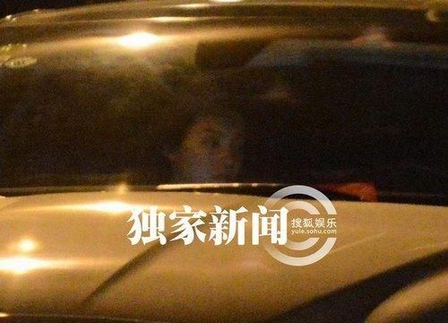 蒋雯丽法国偷情现实版娘要嫁人？盘点明星偷情被拍提裤瞬间【2】