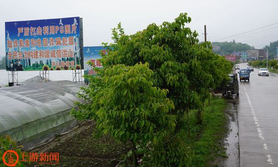 图4 娄底到双峰的省道上，打击PS敲诈勒索的大型宣传牌很醒目.JPG