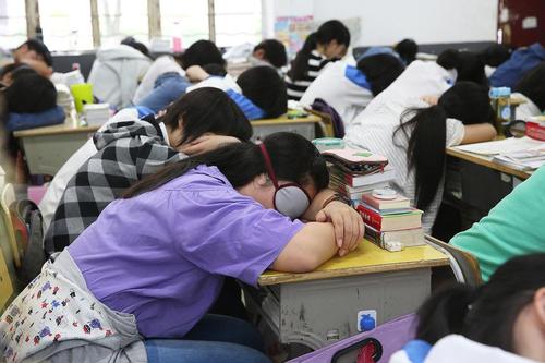 高三年级一共有18个班级，人数超过1000余人。学生大多来自周边乡村，在学习上非常上进，希望通过高考改变命运。桐城是桐城派故里，这里文风昌盛，重视教育，素有“富不丢猪、穷不丢书”的传统。