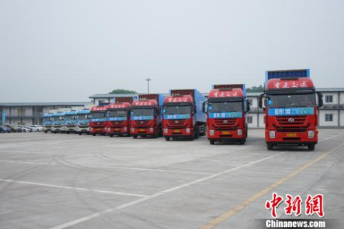资料图。图为准备发车的10辆标准集装箱大卡车。 钟旖 摄 资料图。图为准备发车的10辆标准集装箱大卡车。 钟旖 摄